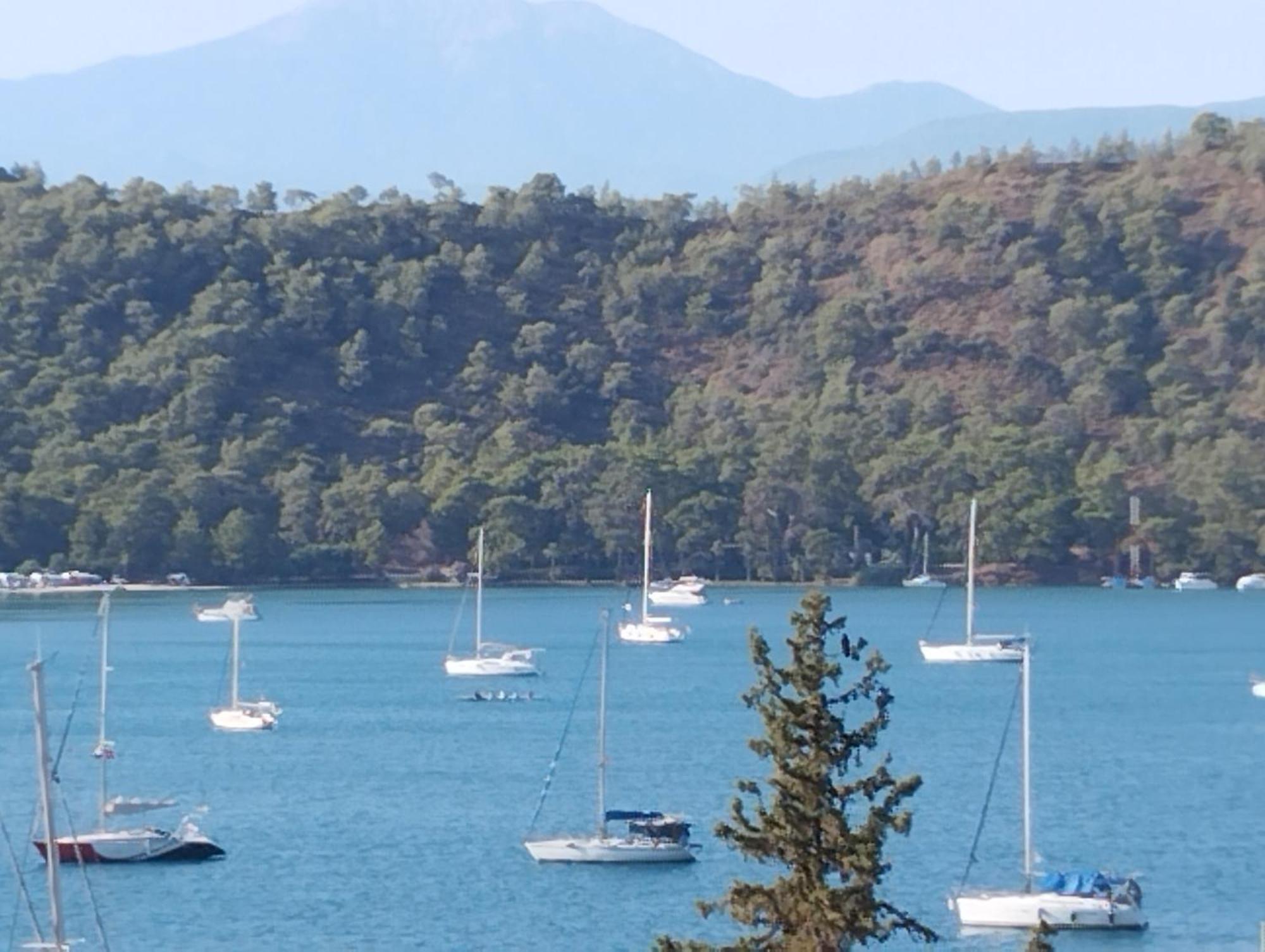 Duygu Apart spellbinding sea views Fethiye Bilik gambar
